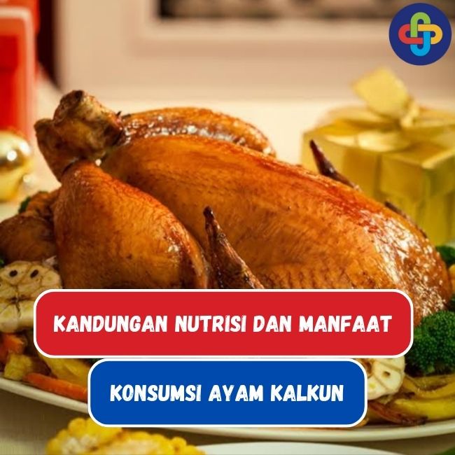 Ketahui Kandungan Nutrisi dan Manfaat Ayam Kalkun Untuk Kesehatan